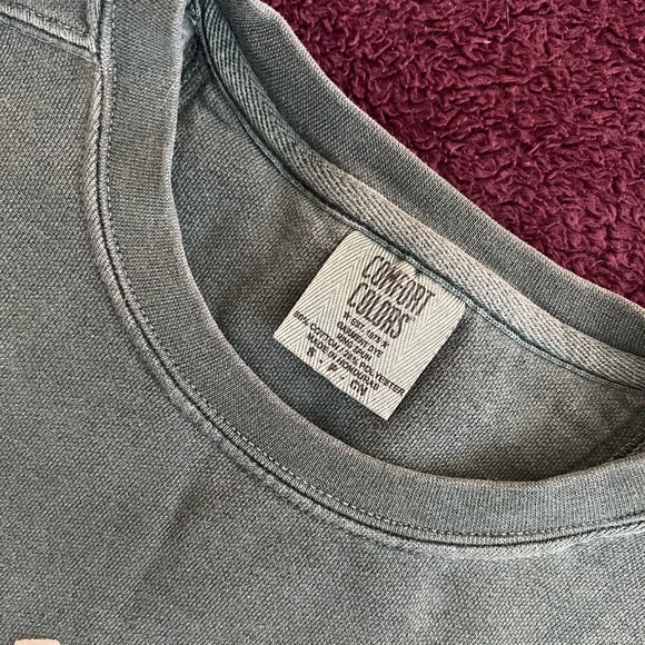 Comfort Colors Alpha Xi Delta (AXiD) crewneck - Picture 6 of 9